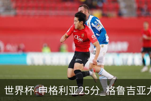世界杯-申格利亚25分 格鲁吉亚力克委内瑞拉