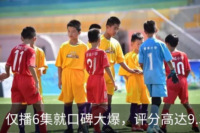 仅播6集就口碑大爆，评分高达9.3，终于又有好剧可以追了！
