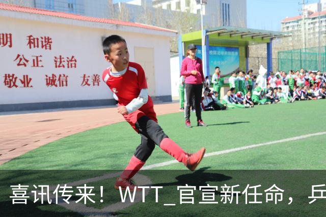 喜讯传来！WTT 官宣新任命，乒乓美女升职，扛起总监重任！