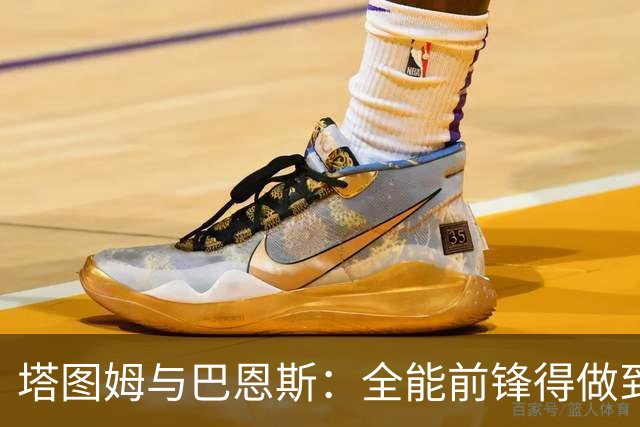 塔图姆与巴恩斯：全能前锋得做到什么地步