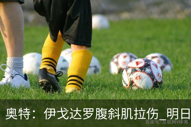 奥特：伊戈达罗腹斜肌拉伤 明日肯定无法出战