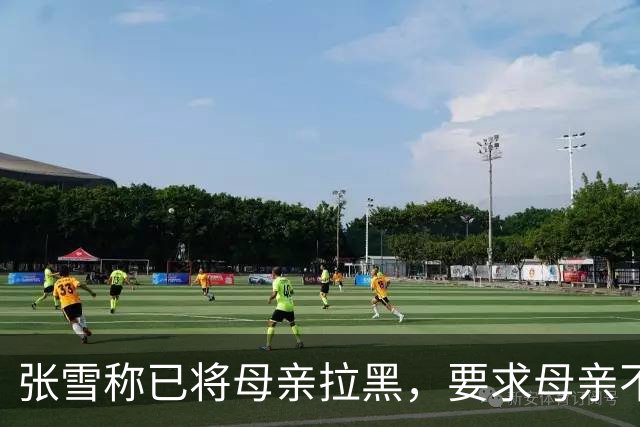 张雪称已将母亲拉黑，要求母亲不要继续做这类事情，“我警告了她一次，她还要去做，她又面上答应我不做了，她又去做”