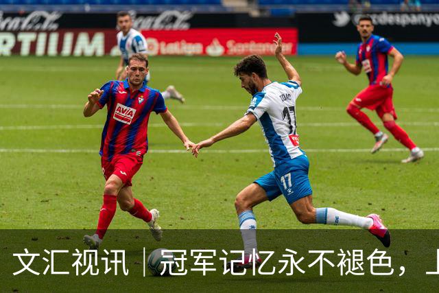文汇视讯｜冠军记忆永不褪色，上海大鲨鱼主场温情致敬弗格