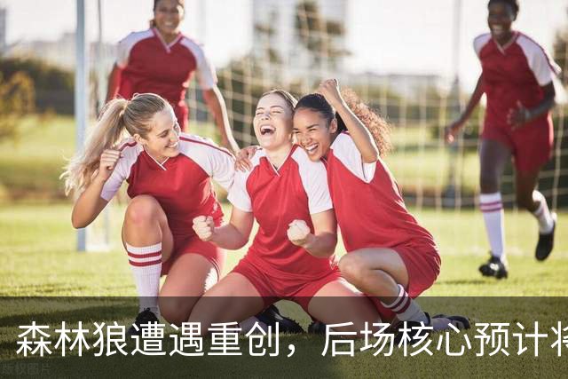 森林狼遭遇重创，后场核心预计将缺席两个月的时间？