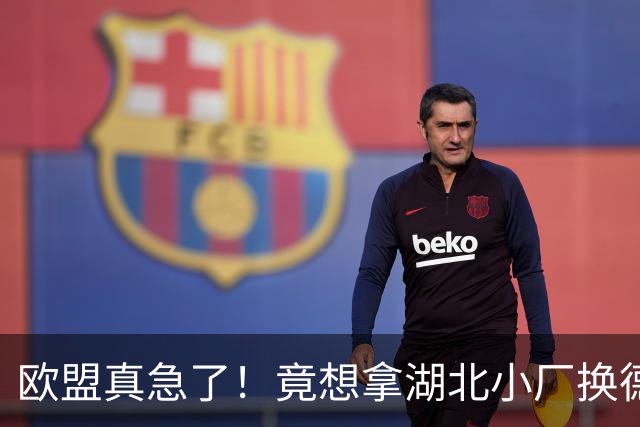 欧盟真急了！竟想拿湖北小厂换德国12人作坊，阿斯麦供应链要断了