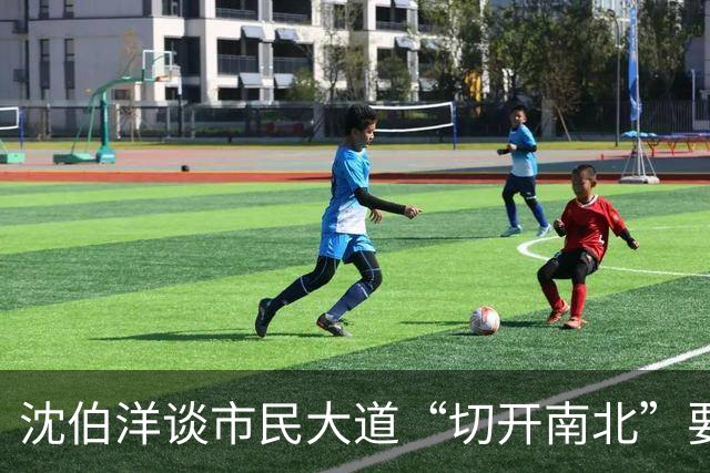 沈伯洋谈市民大道“切开南北”要缝合！蒋办：又出洋相