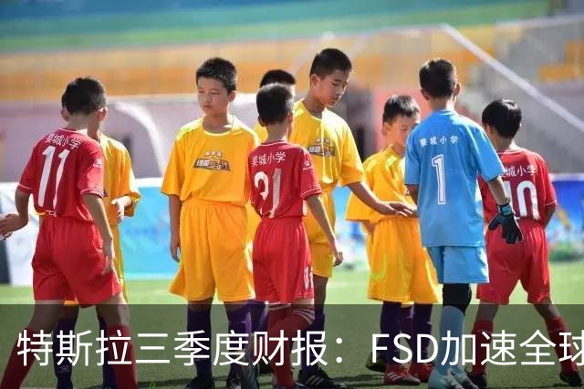 特斯拉三季度财报：FSD加速全球落地，中国市场仍待突破