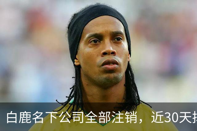 白鹿名下公司全部注销，近30天掉粉超144万，独立运营过渡期引关注
