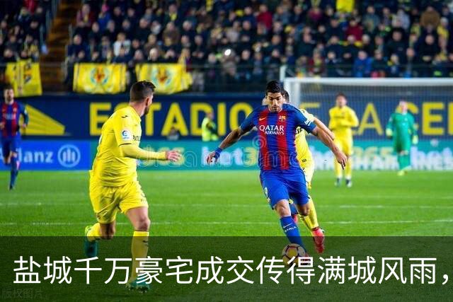 盐城千万豪宅成交传得满城风雨，中介的职业素养呢？