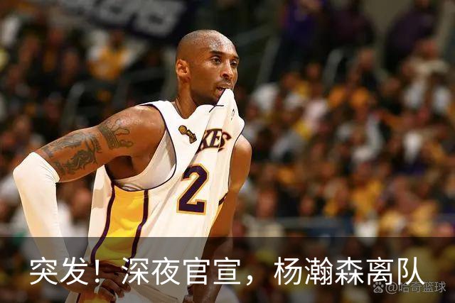 突发！深夜官宣，杨瀚森离队
