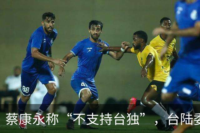 蔡康永称“不支持台独”，台陆委会又在狡辩，忽略重要一点