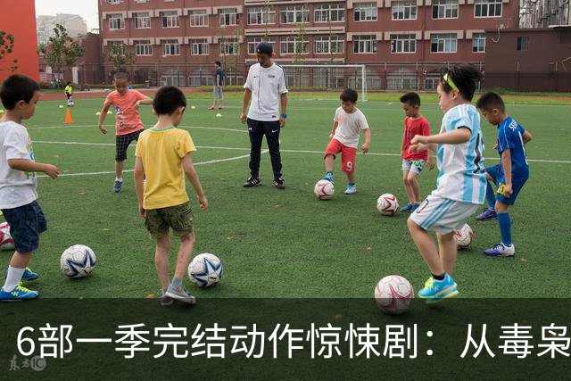 6部一季完结动作惊悚剧：从毒枭运货到卧底复仇，一晚刷完